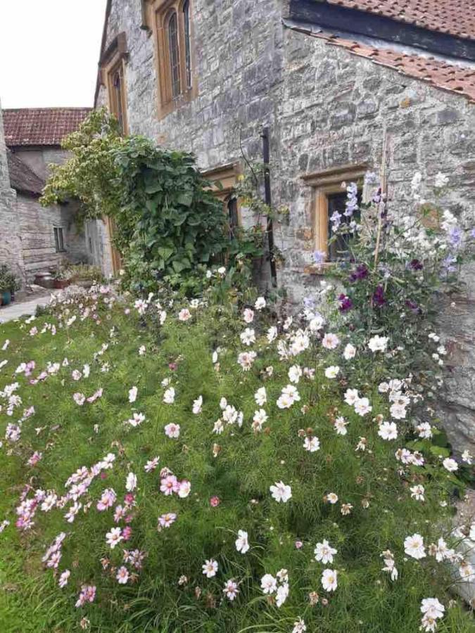 The Manor House, Curry Mallet Taunton Eksteriør bilde
